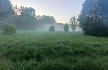 Le Pas du Loup - Photo 11