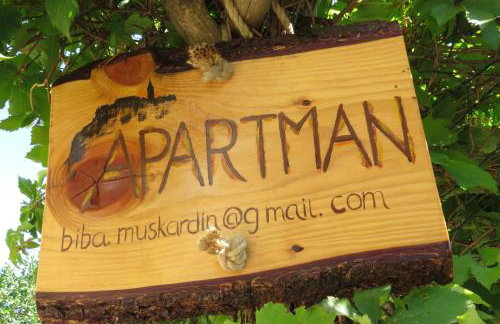 Apartman Biba - Foto 1