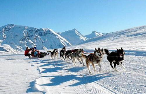 Le Skisun - Altitude 1800 - Puy Saint Vincent - Massif et Parc national des Ecrins - Foto 20