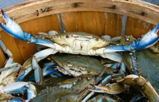 Sunset Breezes - quiet waterfront retreat - Foto 42