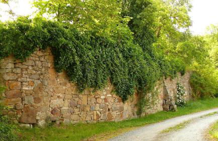 Ferienwohnungen Lindleshof - Foto 42