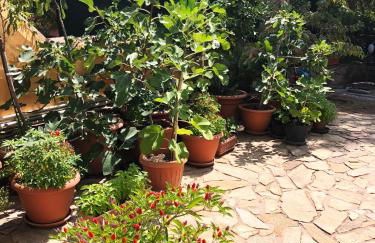 Mare Turchese - Foto 36