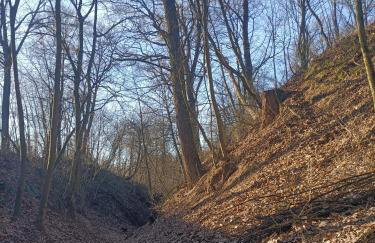 Agroturystyka Przy Wąwozie - Photo 29