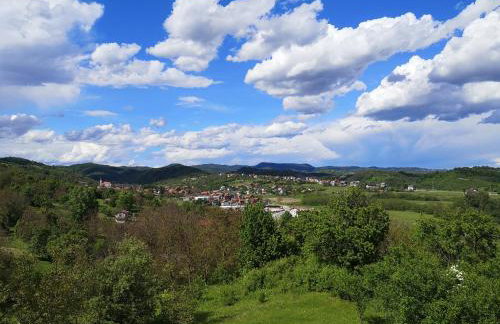 Apartment Viksa with Jacuzzi - Foto 76