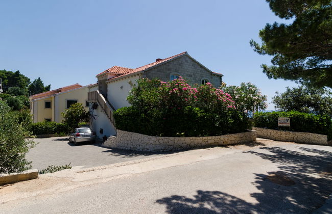 Plavac Mali - Foto 26