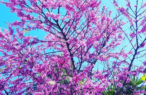 Piero's Apartment - Foto 17