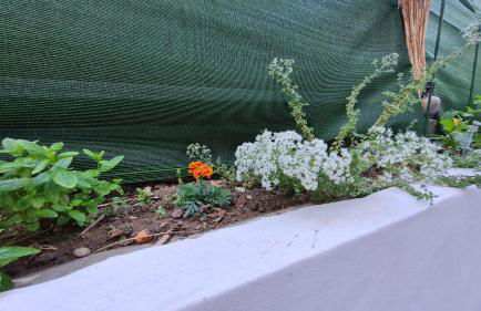 Annie's Apartment - Foto 17