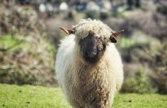 Naze View Barn - Cosy, with all mod cons - Photo 30