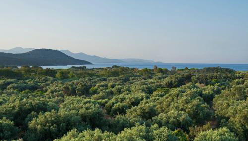 Istron Maisonettes with private pool - Foto 3