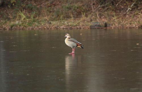 Holiday Home Feike Comfortable Vacation Home - Photo 31