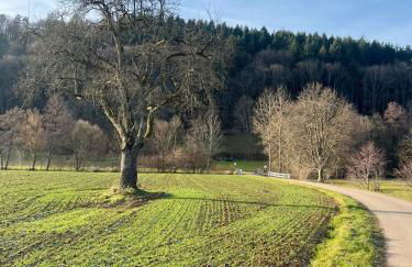 Zuhause auf Zeit - Foto 41