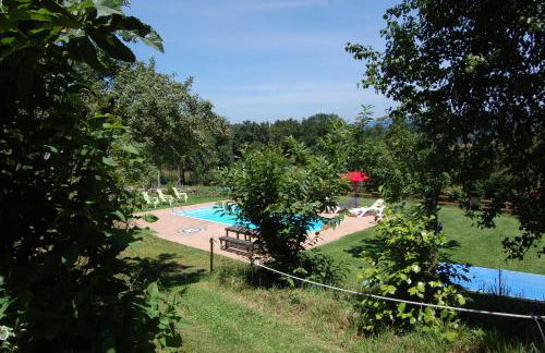 Nuevo sabor rural Ribeira Sacra - Foto 21