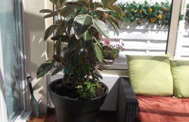 LES TROENES - Photo 3