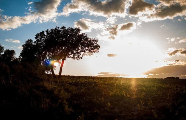 Casa Rural Rosa - Foto 30