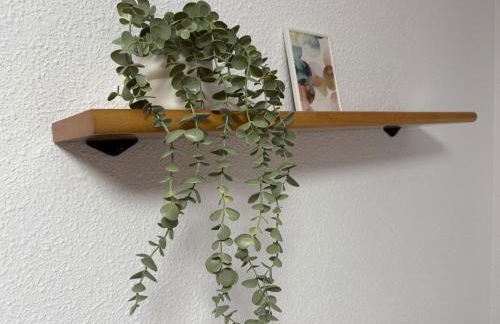 Apartamentos La Laguna II - Foto 25