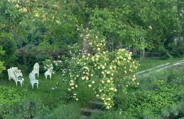 Chiesa Ignano 1778 - Photo 42