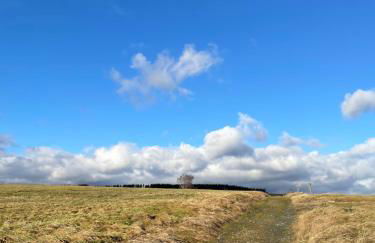 Harzhaus Drei Hexen - Foto 62