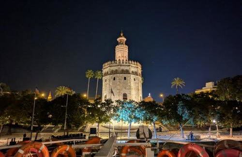 Sunterrace Loft-Triana's Star, 10' from city center! - Foto 24