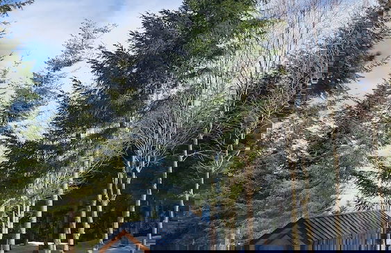 Tumba Sisli Vadi - Foto 36