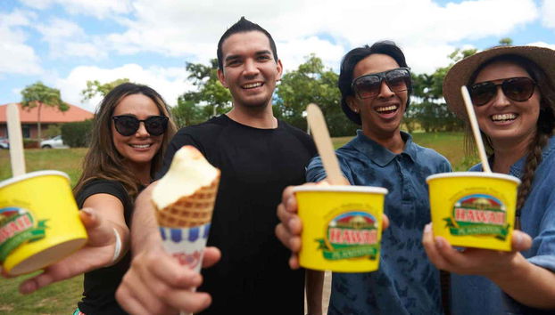 Try Dole Whip ice cream!