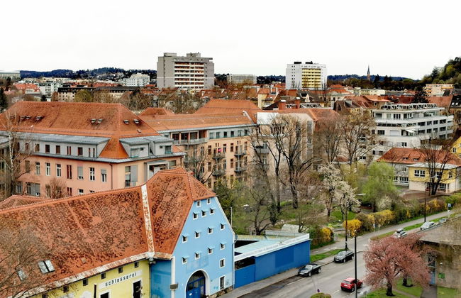 Rafael Kaiser - Apartment Sunlight - Photo 5