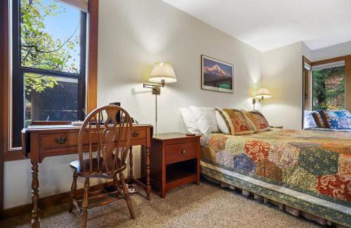 Salmon River Condo #5 - Foto 12