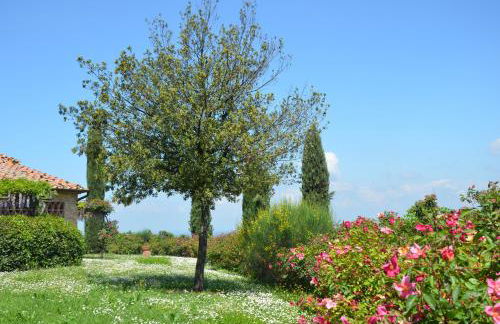 Agriturismo Rigone in Chianti - Foto 17