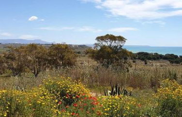 Il Canneto di Selinunte - Foto 51