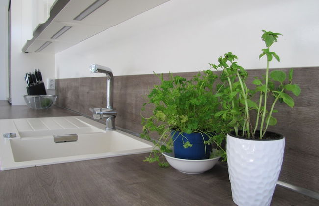 Villa Lavanda in Kriz Sezana With Private Swimpool - Foto 4