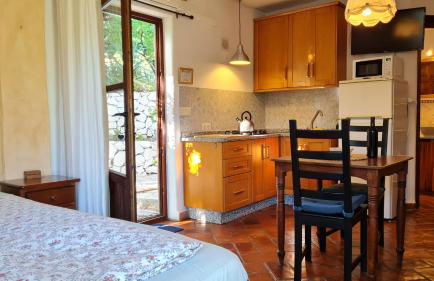 Tropical Studio - Foto 16