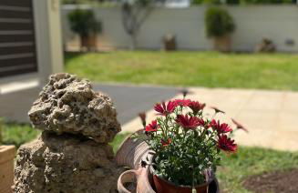 Xenia Serenity - Foto 13