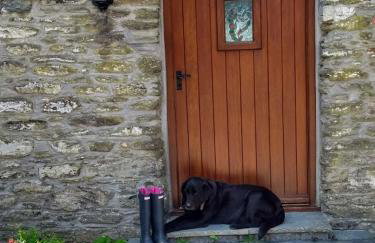 Fentrigan Manor Farm & Holiday Cottages - Foto 44