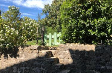 Gîte des pins - Foto 13