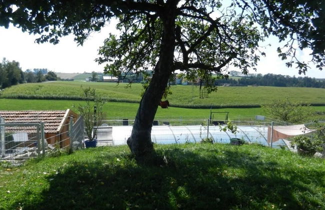 Ferienhof Löw - Photo 24