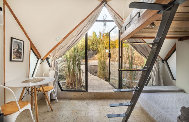 Bosque Geométrico - Foto 12