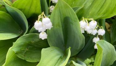 Aalens schönste Aussicht - Foto 5