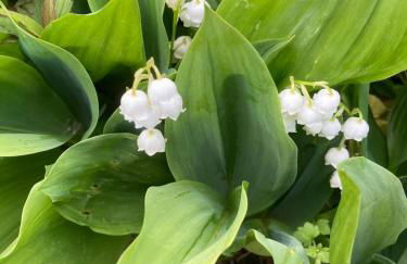 Aalens schönste Aussicht - Foto 5