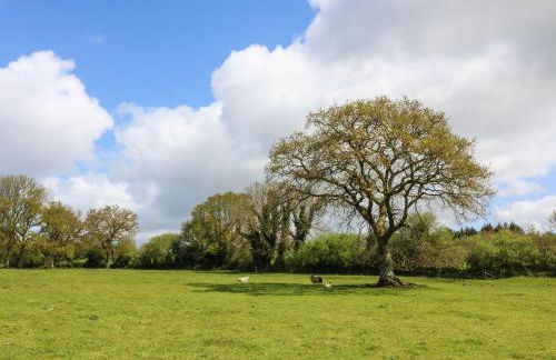 Chilvery Farm Cottage - Photo 24