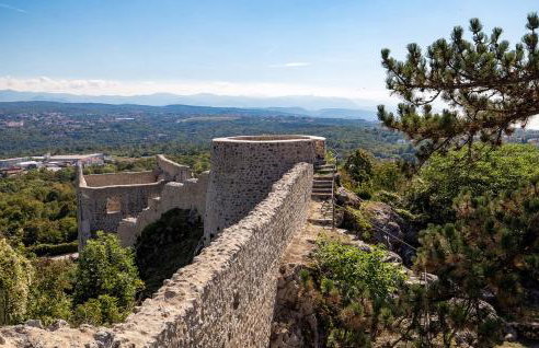 Birdsong Getaway a peaceful, pet-friendly base for exploring - Foto 25