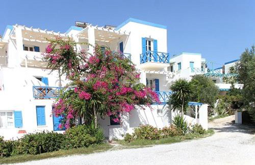 Argo-studios - Foto 62