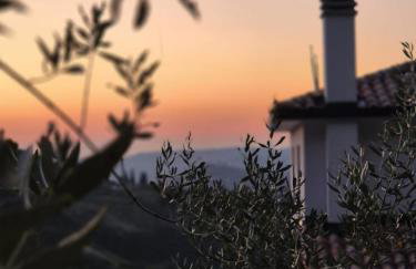 Domus in Monte - Foto 4