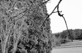 L'Ange : Entre monts et vallées - Foto 43