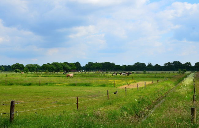 Detached Bungalow With Outdoor Fireplace - Foto 34