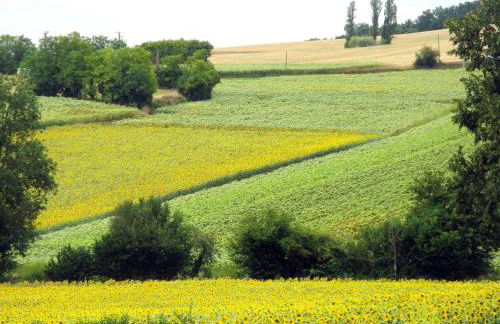 Holiday Home Marquefabe by Interhome - Foto 17