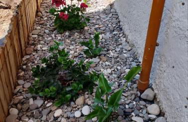 White lilies the house of gourmet flavours - Foto 24