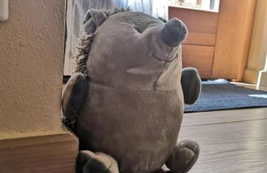 Petite Maison Gaspard - Foto 31