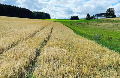 Ferienwohnung Schwarzalb - Foto 12