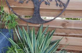 vensac ocean montalivet - Foto 18