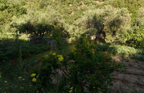 House Of Ntounias ΙΙ - Photo 27