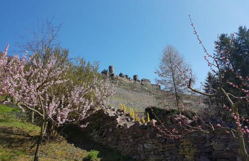 Zum Bachhexje - Foto 13